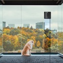 Robot lave-vitres WindowBuddy – Des vitres impeccables sans effort